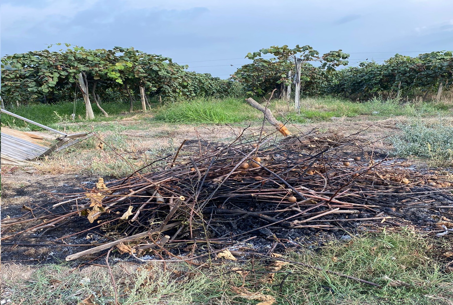 YALOVA DA 112 YE UÇAK DÜŞTÜ İHBARI ASILSIZDIR