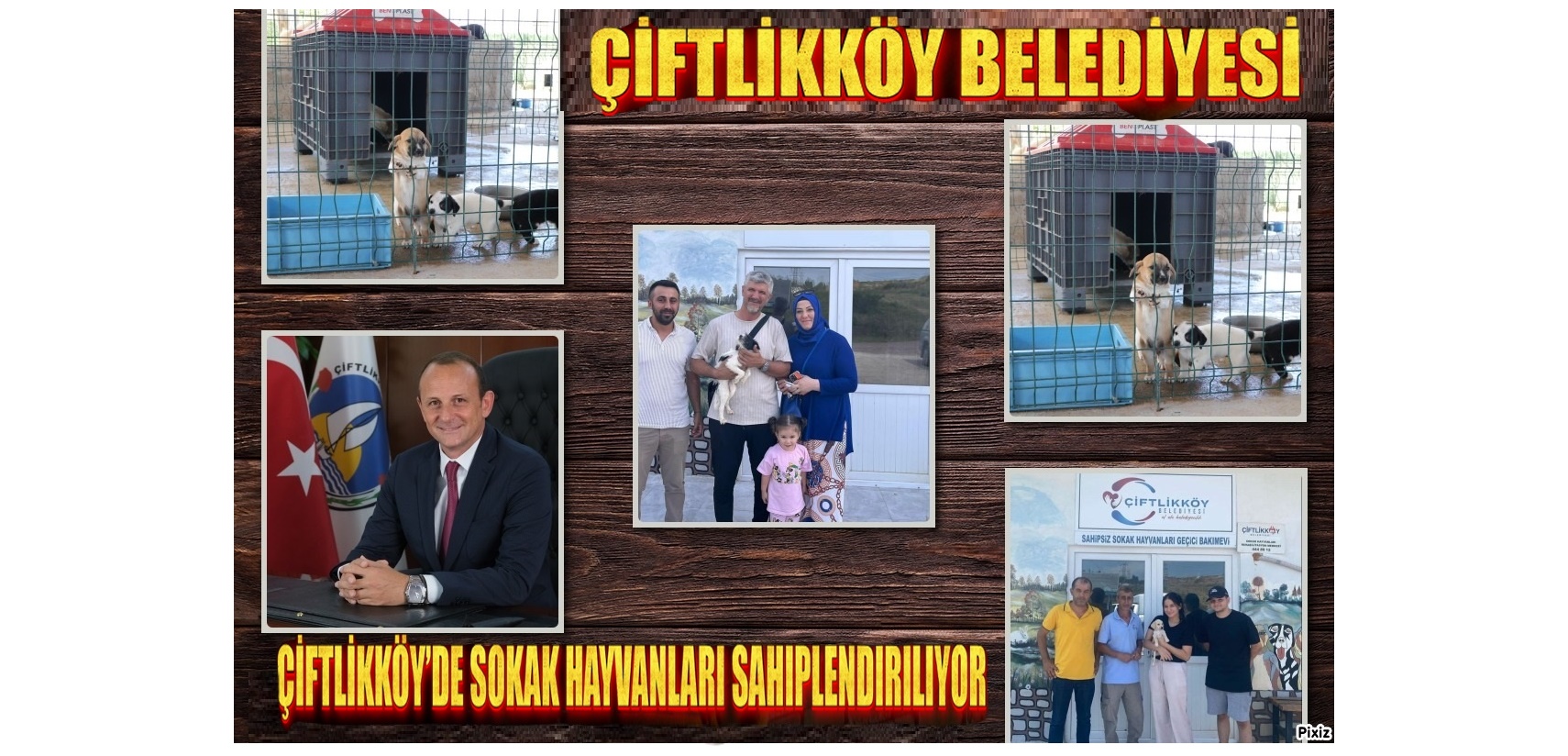 ÇİFTLİKKÖY’DE SOKAK HAYVANLARI SAHİPLENDİRİLİYOR