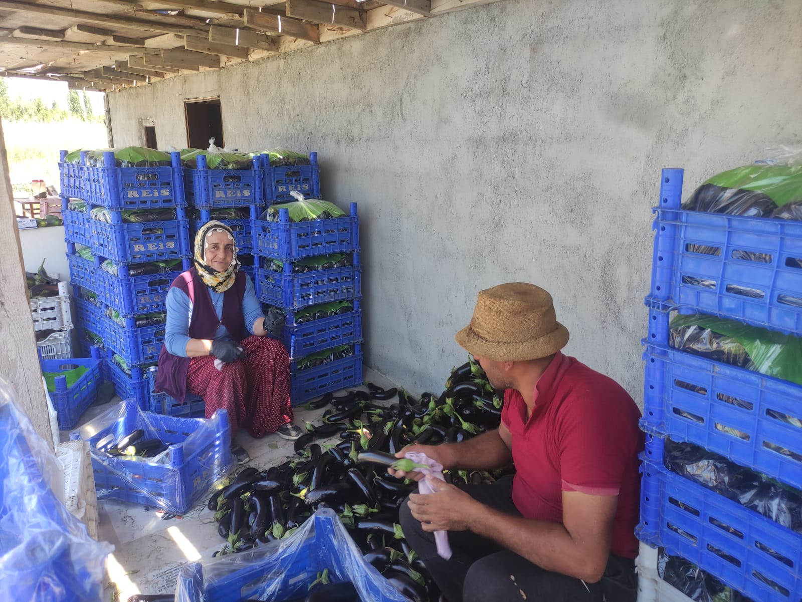 ERZİNCAN’DA ZEYCAN ÇAVUŞ TARIMDA ÇİFTÇİLERE PERSONEL DESTEĞİ