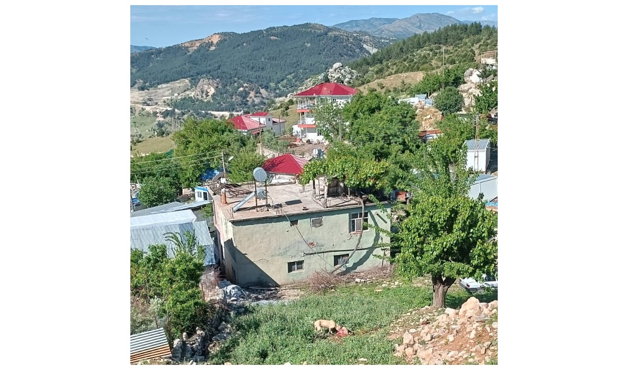 Adıyaman Gölbaşı İlçesi Aktoprak Köyü ve Çevre Köylerde Başıboş Köpek Sorunu: Vatandaşların Mağduriyeti Artıyor