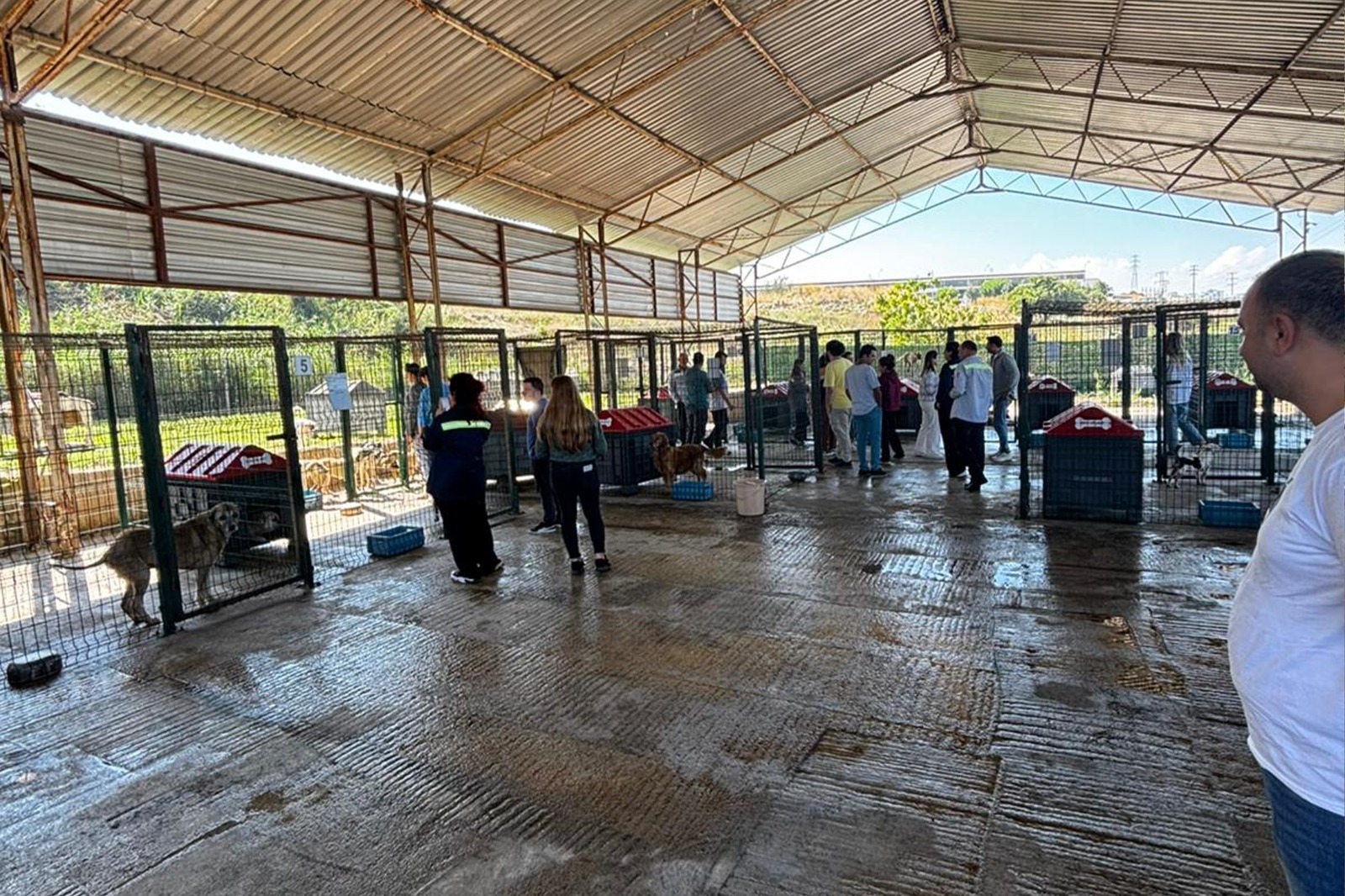 Geçici Bakımevi, Akkim Gönüllülerini Konuk Etti