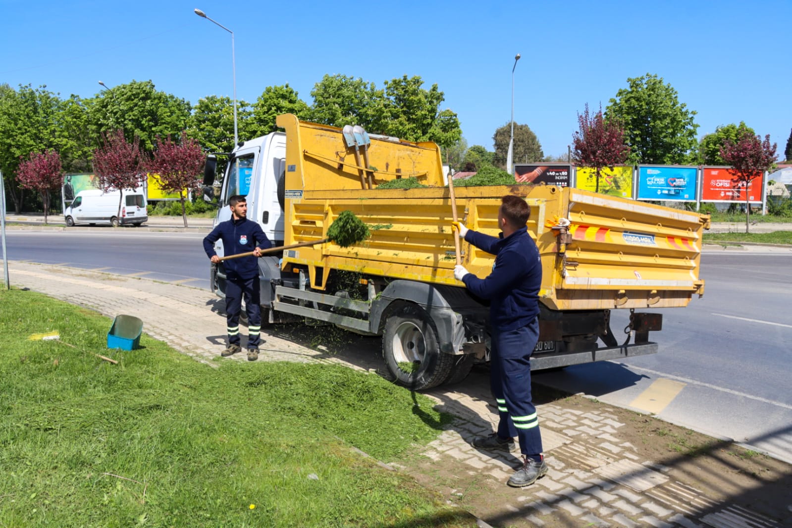 YALOVA BELEDİYESİ BUDAMA VE OT BİÇME ÇALIŞMALARINI SÜRDÜRÜYOR